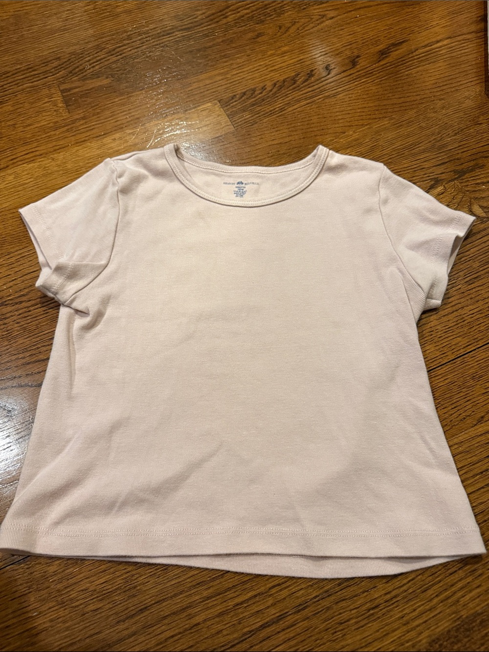 Brandy Melville Pale Pink Short Sleeve Tee